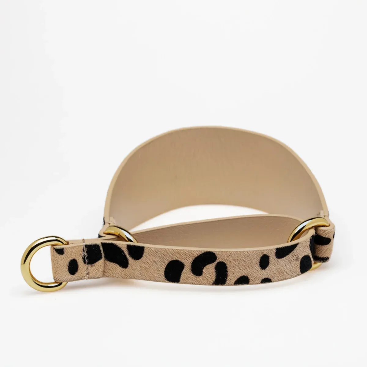 Leopard Dog Martingale Wide