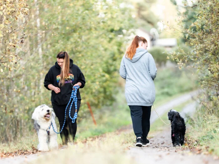 Letkeesti lenkillä – hihna ja ohitustaitokurssi