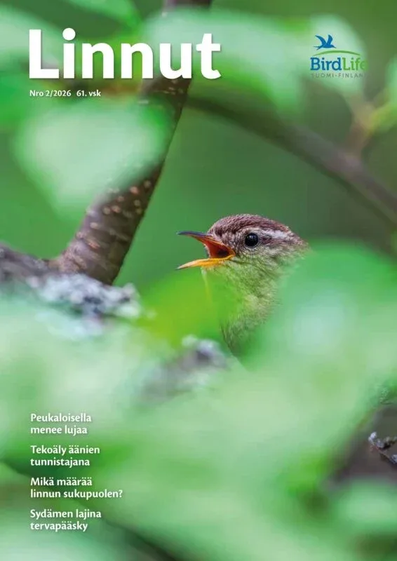 Linnut lehti – Birdlife nro: 2/2026