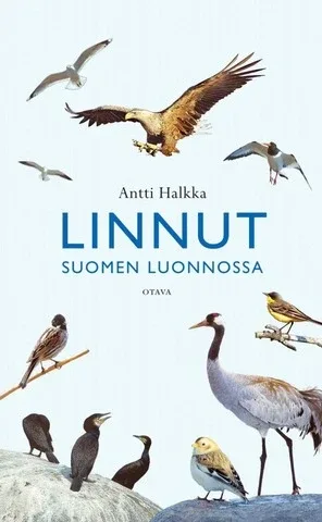 Linnut Suomen luonnossa (Halkka)