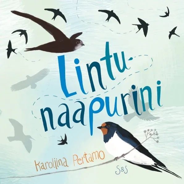 Lintunaapurini – Pertamo Karoliina 2019