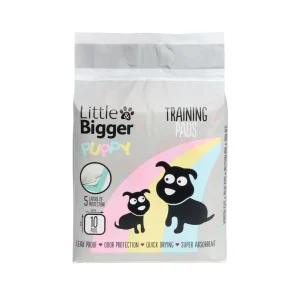 Little&Bigger Puppy Basics Pentualusta koiralle 10kpl 60x60cm
