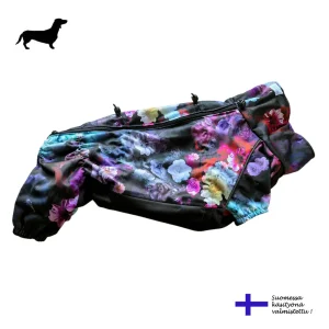 Lysti Sadehaalari mäyräkoira tytölle, violetti kukkakuosi