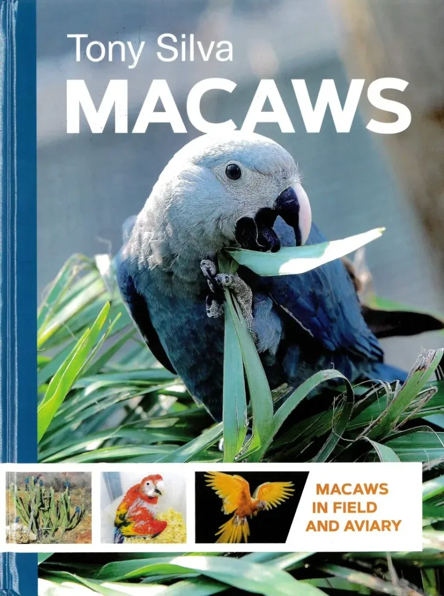 Macaws – Silva,T. 2019