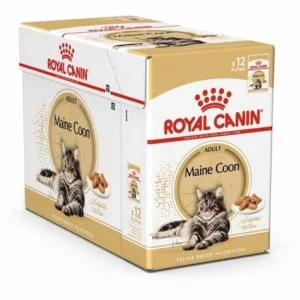 Maine Coon Adult Gravy m盲rk盲ruoka kissalle 12x85g