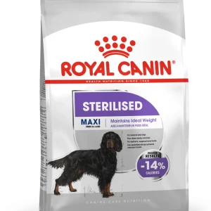 Maxi Sterilised kuivaruoka koiralle 12kg