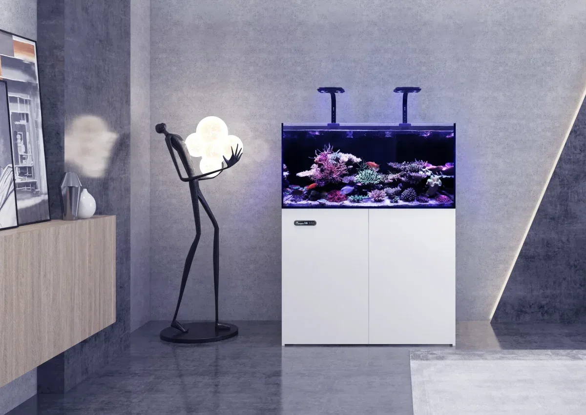 Maxspect Aquarium Smart Lagoon LS-090 Pearl White