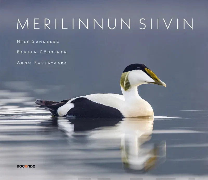 Merilinnun siivin – Sundberg, Pöntinen ja Rautavaara 2019
