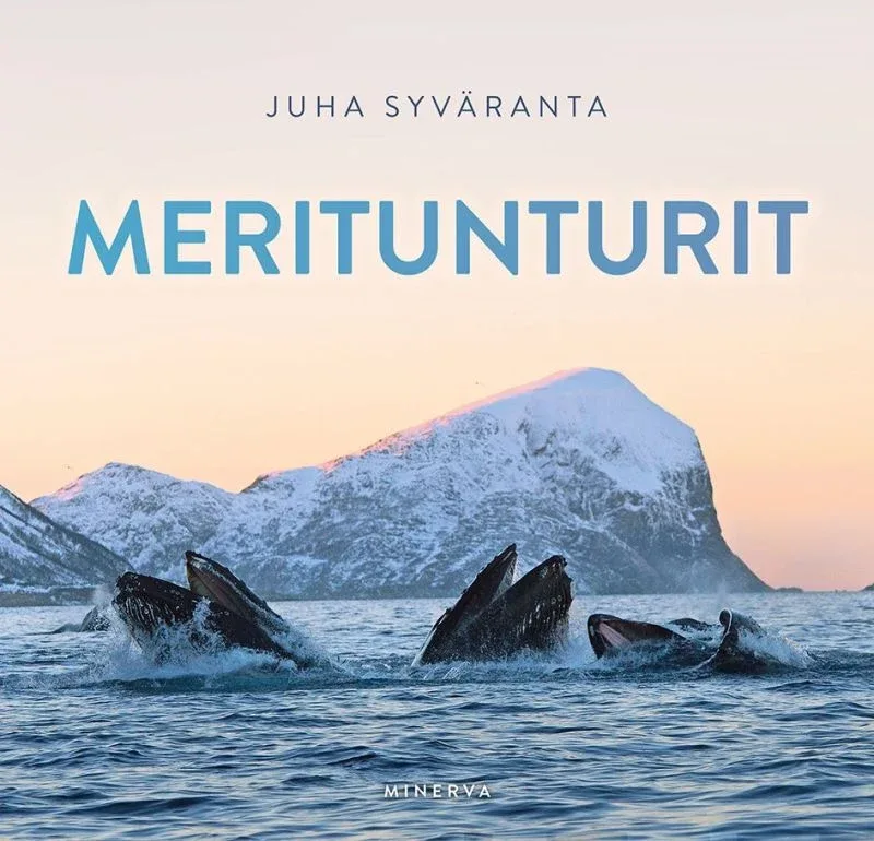 Meritunturit (Syväranta, Juha 2020)