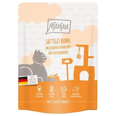 MjAMjAM Squeeze -säästöpakkaus 24 x 300 g kana ja porkkana