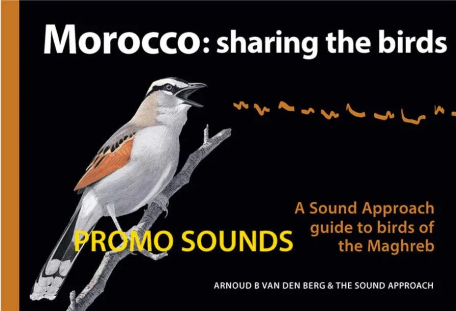 Morocco Sharing the Birds – Arnoud B van den Berg & The Sound Approach, 2020