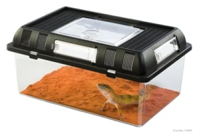 Muoviterraario Exoterra Breeding Box M