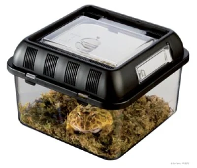 Muoviterraario Exoterra Breeding Box S - Image 2