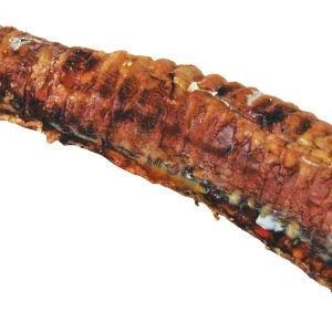 Naudan henkitorvi 20鈥?5cm
