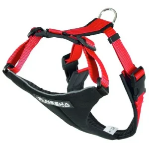 NEEWA Running Harness, punainen rinnanympärys 54 - 84 cm (M-koko)