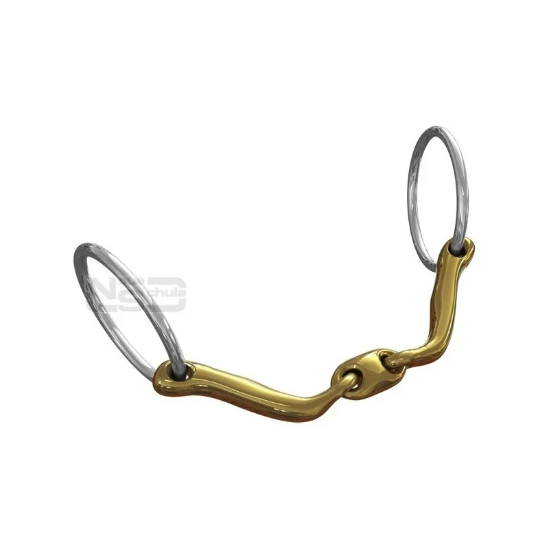 Neue Schule Verbindend - Image 2
