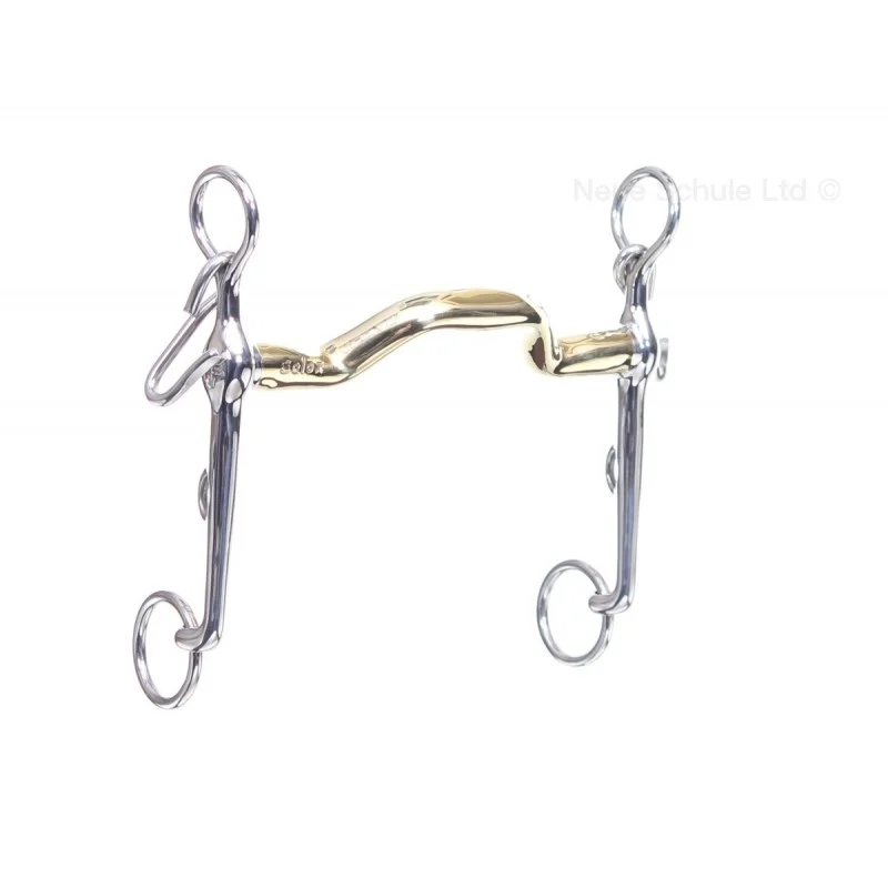 Neue Schule Warmblood kankikuolain vuokrakuolain