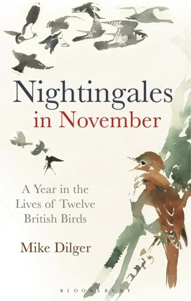 Nightingales in November – A Year in the Lives of Twelve British Birds (Dilger) 2018