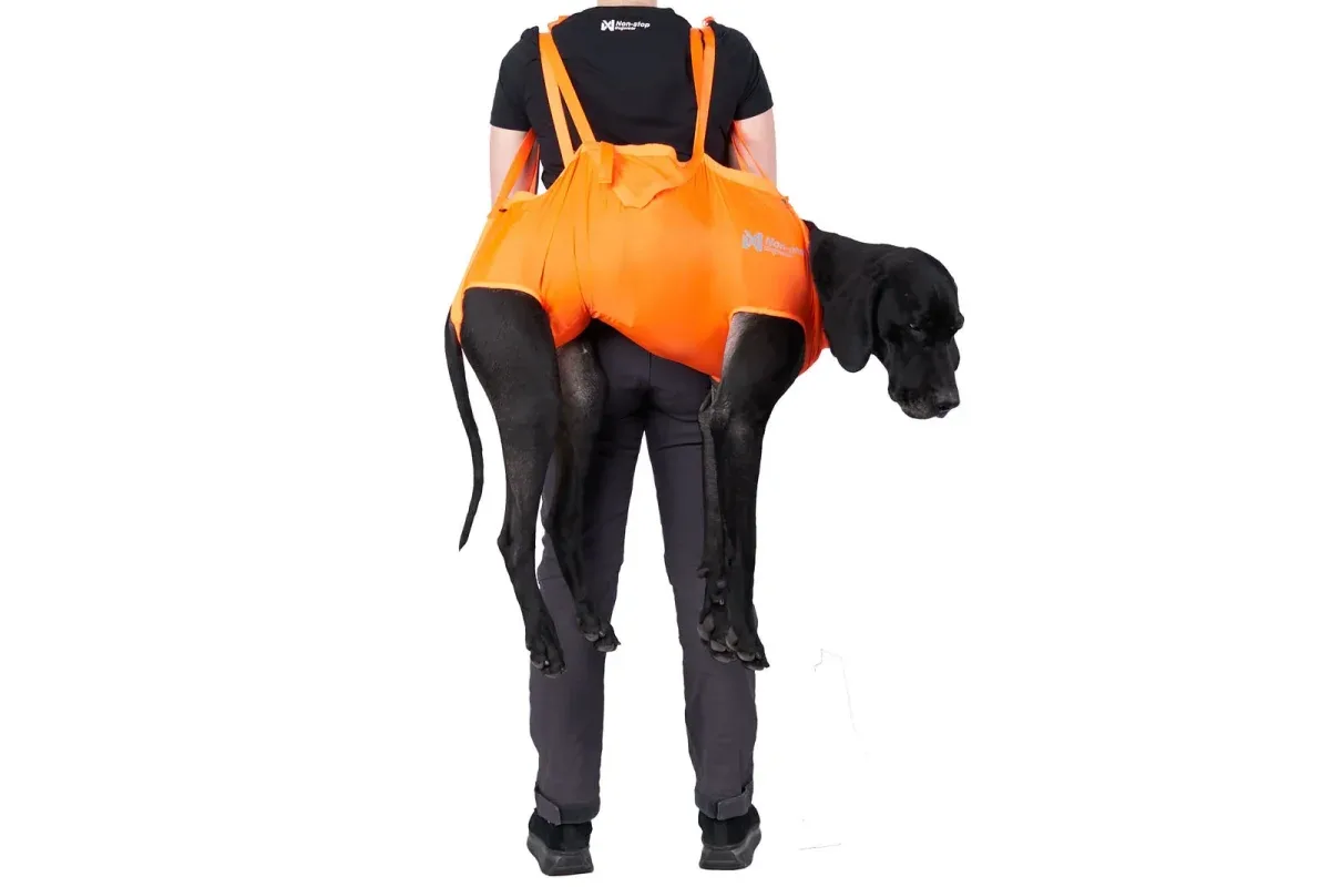 Non-stop Dog rescue sling koirankantoliina
