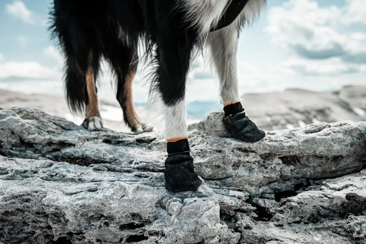 Non-stop Protector bootie – koiran tossut