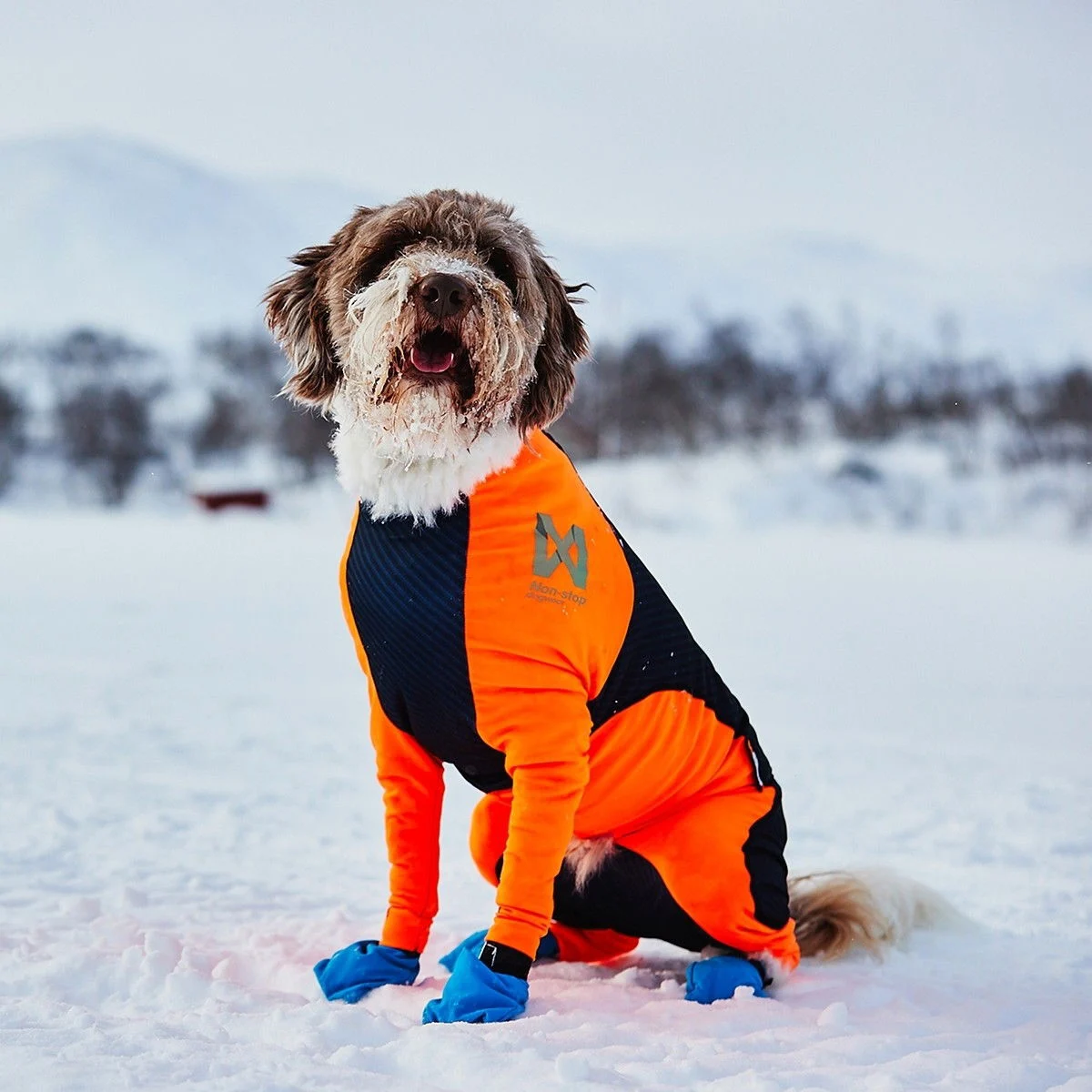 Non-Stop Protector Snow haalari, urosmalli