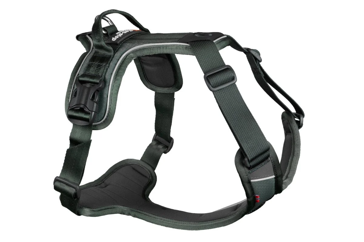 Non-stop Ramble harness koiran valjaat - Image 2