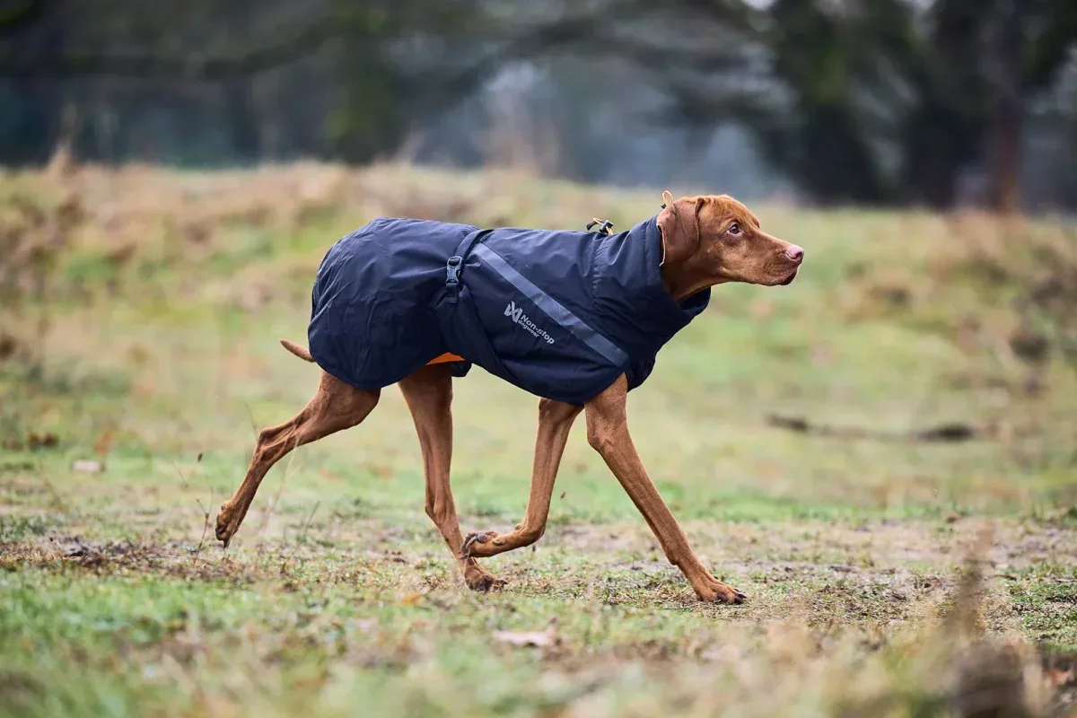 Non-stop Trekking insulated dog jacket – koiran takki