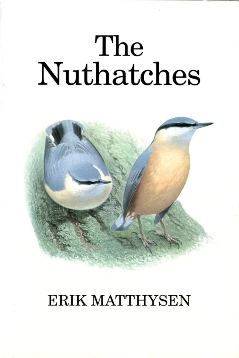 Nuthatches – Matthysen, E. 1998