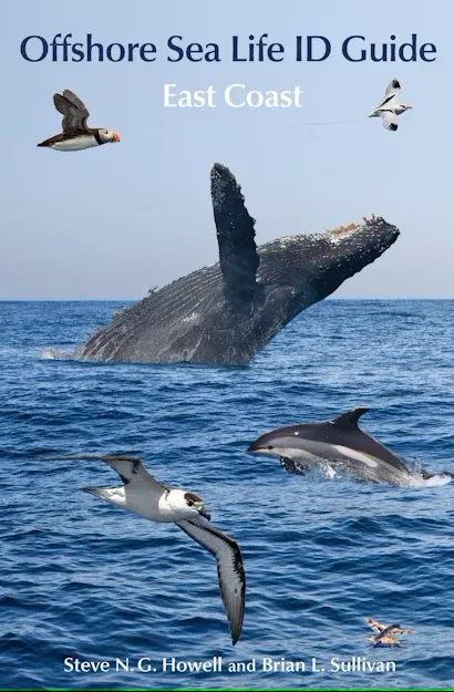 Offshore Sea Life ID Guide East Coast – Howell,S. 2015
