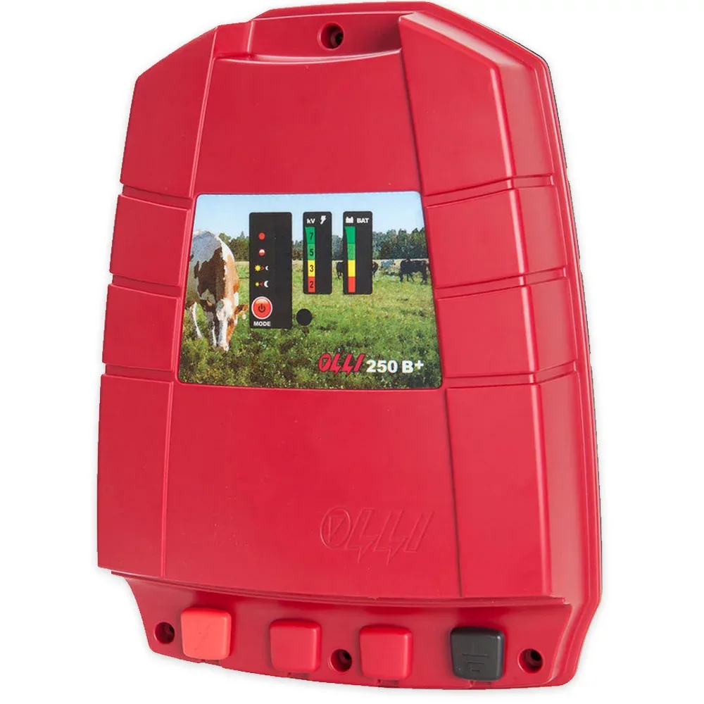 Olli 250B+