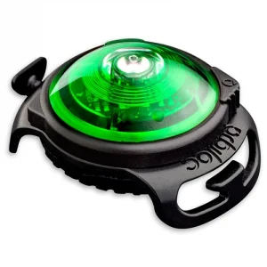 Orbiloc koiran turvavalo Dual Vihre盲