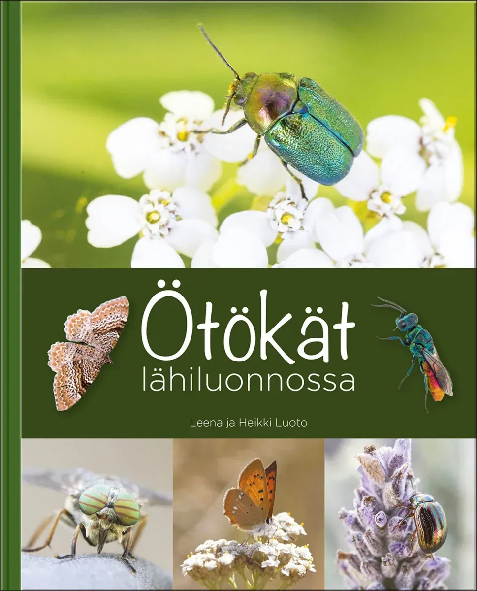 Ötökät lähiluonnossa – Leena ja Heikki Luoto 2022