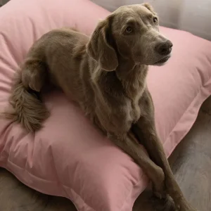 PAIKKA Lazy -koiran ulkopeti, pinkki