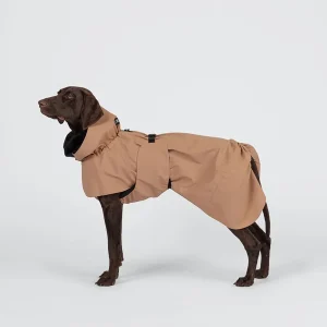 PAIKKA Visibility koiran sadetakki, taupe