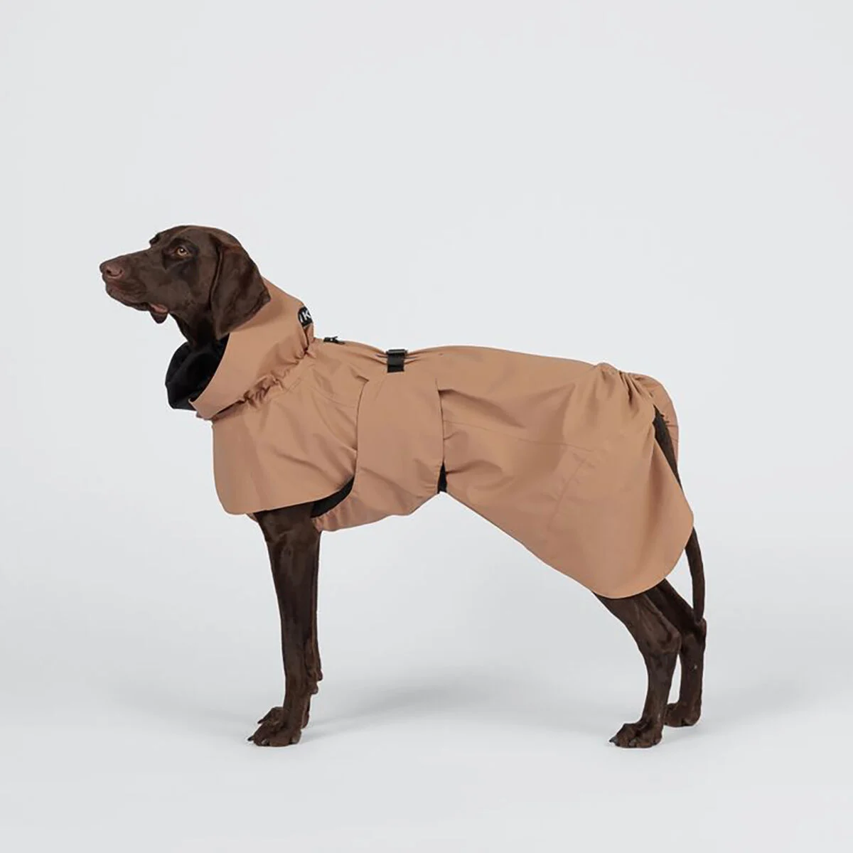 PAIKKA Visibility koiran sadetakki, taupe
