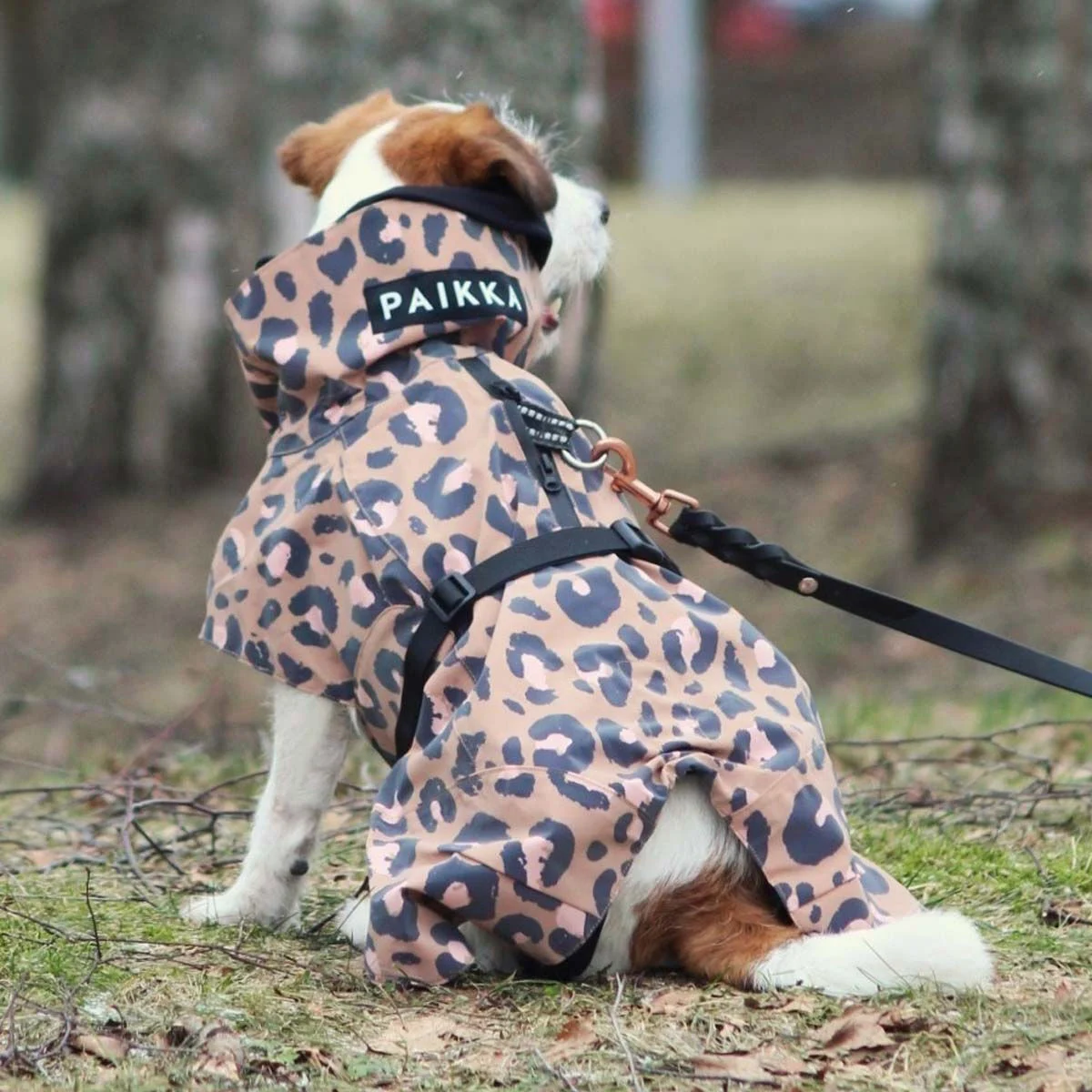 PAIKKA Visibility Raincoat Lite -koiran sadetakki, leo