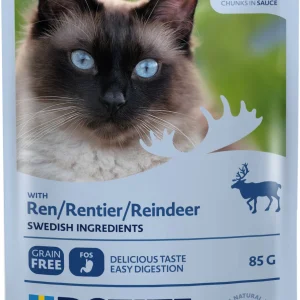 Palat kastikkeessa poro