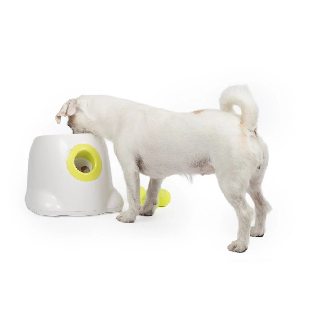 Pallonheittokone All For Paws Hyper Fetch Mini