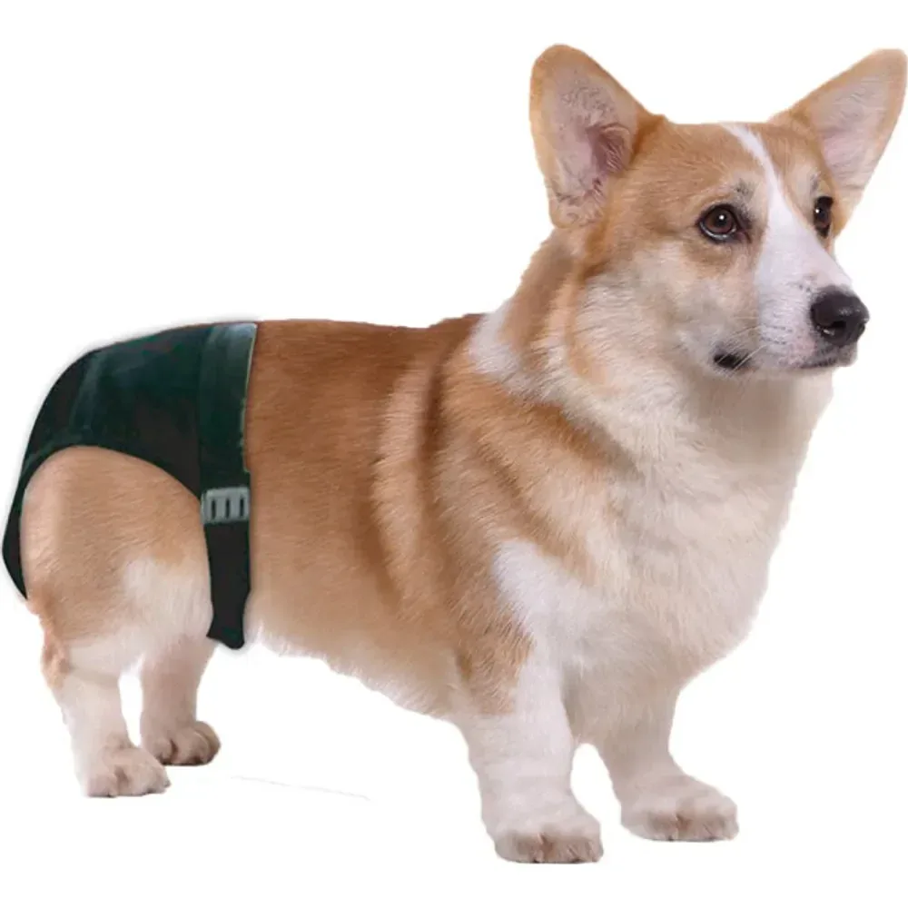 PAWISE Juoksuhousut