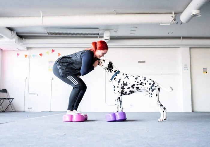 Pawlates® – koiran ja omistajan jumppakurssi