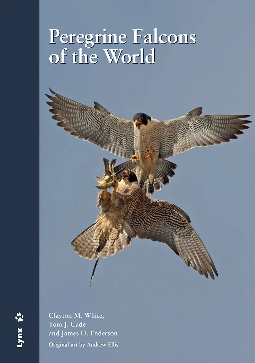 Peregrine Falcons of the World – White,C.M. 2013