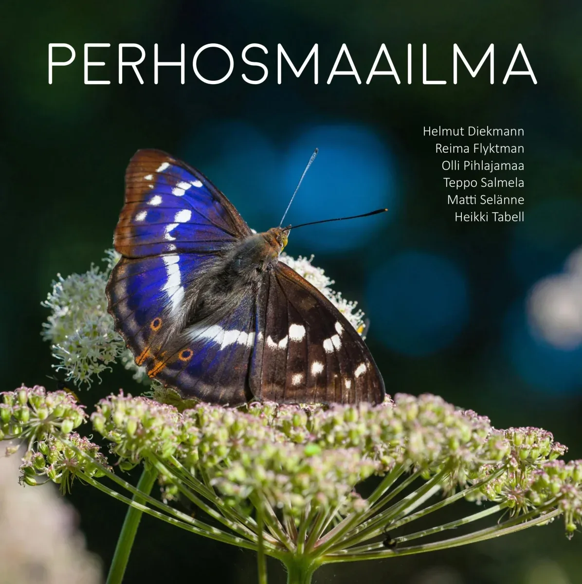 Perhosmaailma – Reima Flyktman, ym. 2025
