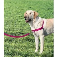 Petsafe Easy Walk-vedonestovaljas - Image 2