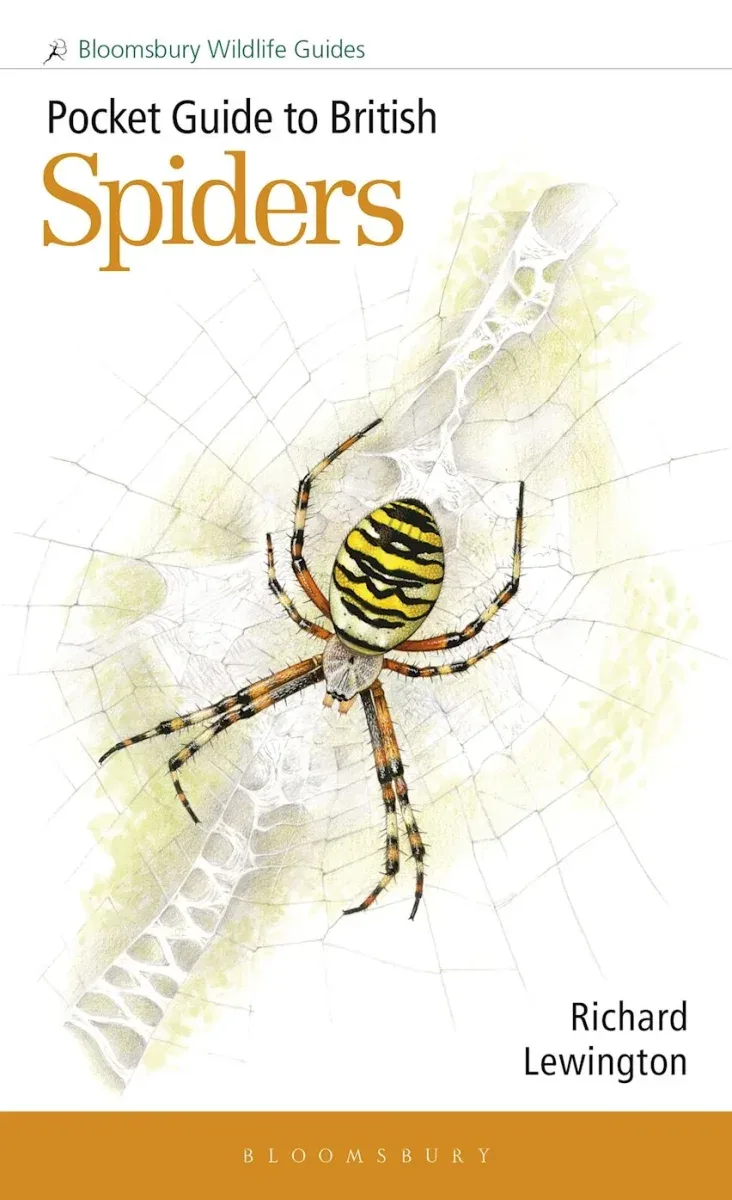 Pocket guide to British Spiders – Richard Lewington 2025