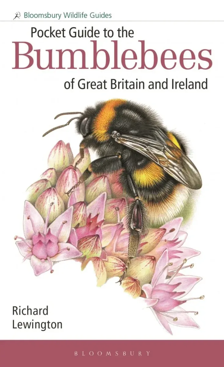 Pocket Guide to the Bumblebees of Great Britain and Ireland – Richard Lewington 2023