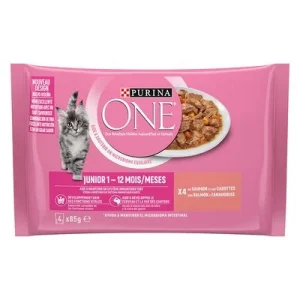 Purina ONE 4 x 85 g Junior lohi & porkkana
