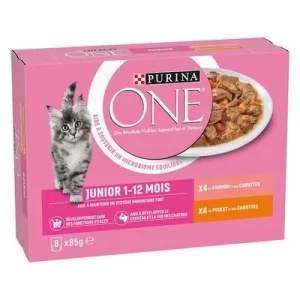 Purina ONE Junior 8 x 85 g kana & lohi