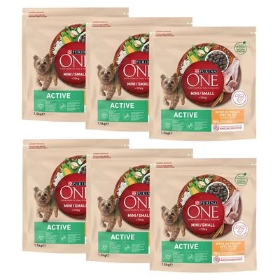 Purina One Mini Active - kana ja riisi 9 kg (6 x 1,5 kg)