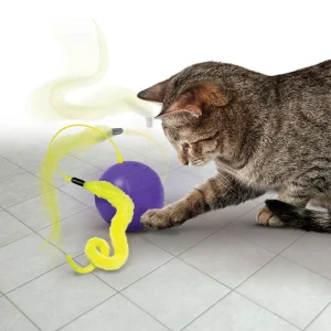 Purrsuit Whirlwind kissanlelu