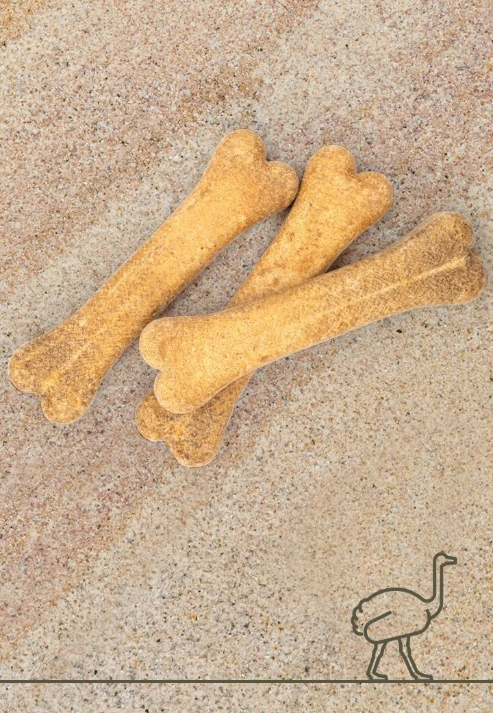 Puruluu strutsi - Image 2